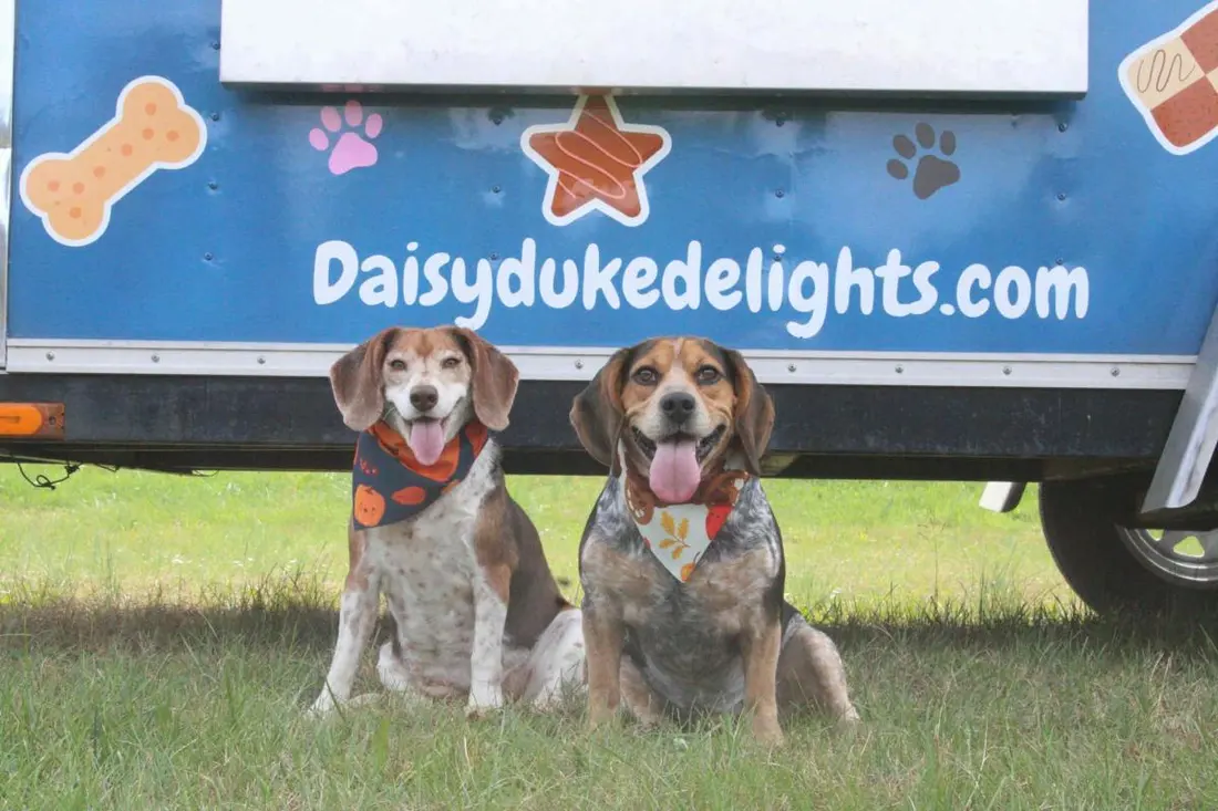 Daisy & Duke Delights LLC — vendor photo 2 of 2