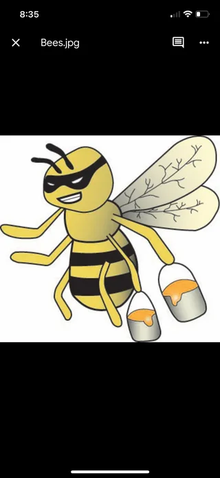 The bee bandits logo