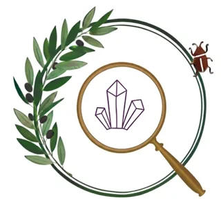 The Naturalist Desk logo